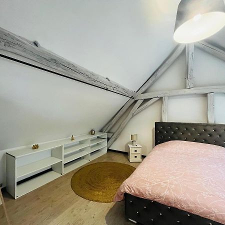 Appartement Ideal Au Coeur D Auxerre Εξωτερικό φωτογραφία